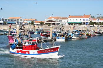 Oleron Isle